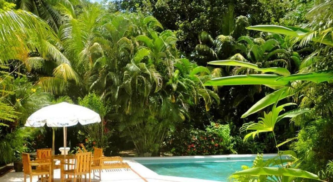 Hotel Roca Verde Beachfront Puntarenas Esterno foto